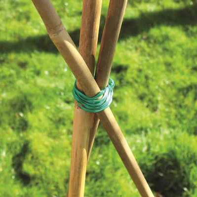 20pk 60cm Bamboo Canes - Image 2