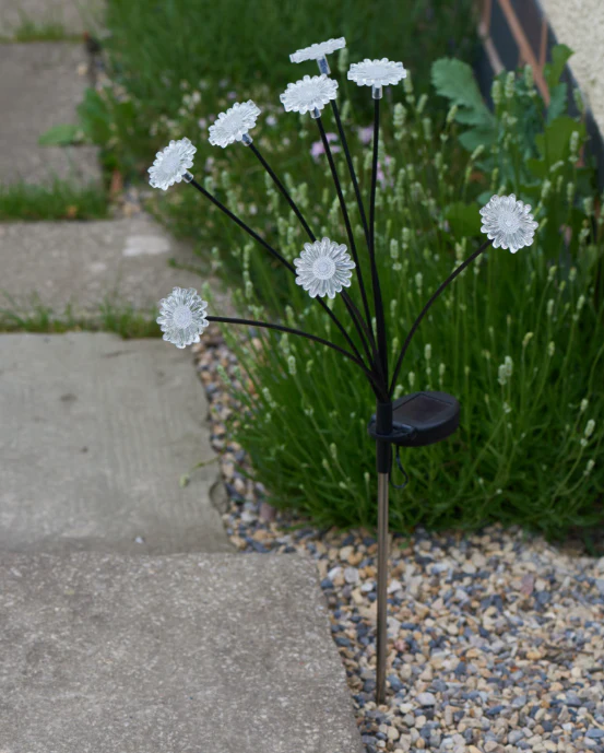 8 Stem Flora Lights - Image 2
