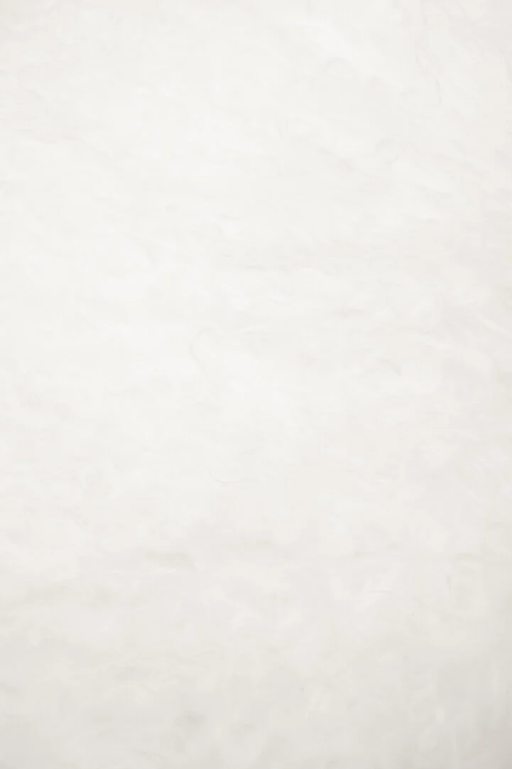 Bosie Mongolian Fur White Rectangular Cushion - Image 5