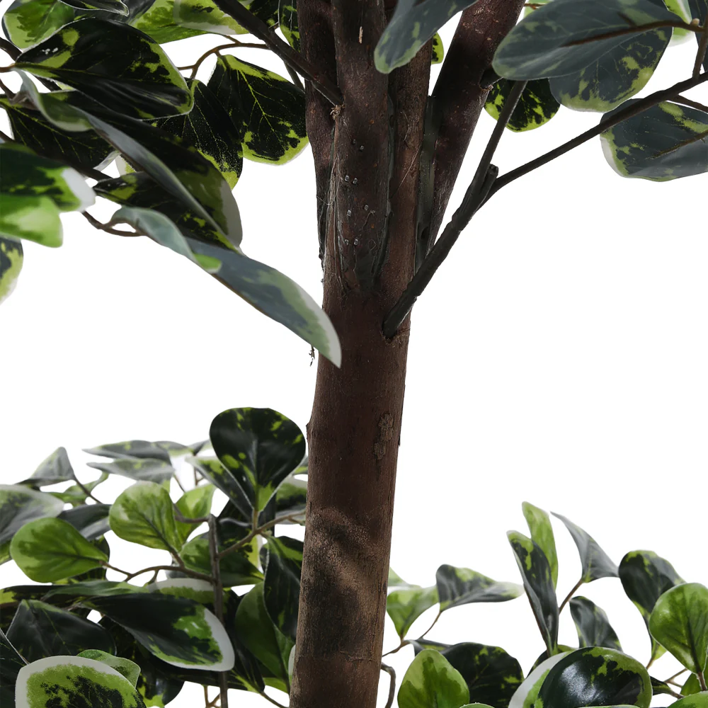 Breeins Artificial Zamioculcas Decorative Plant In Planter - Image 5