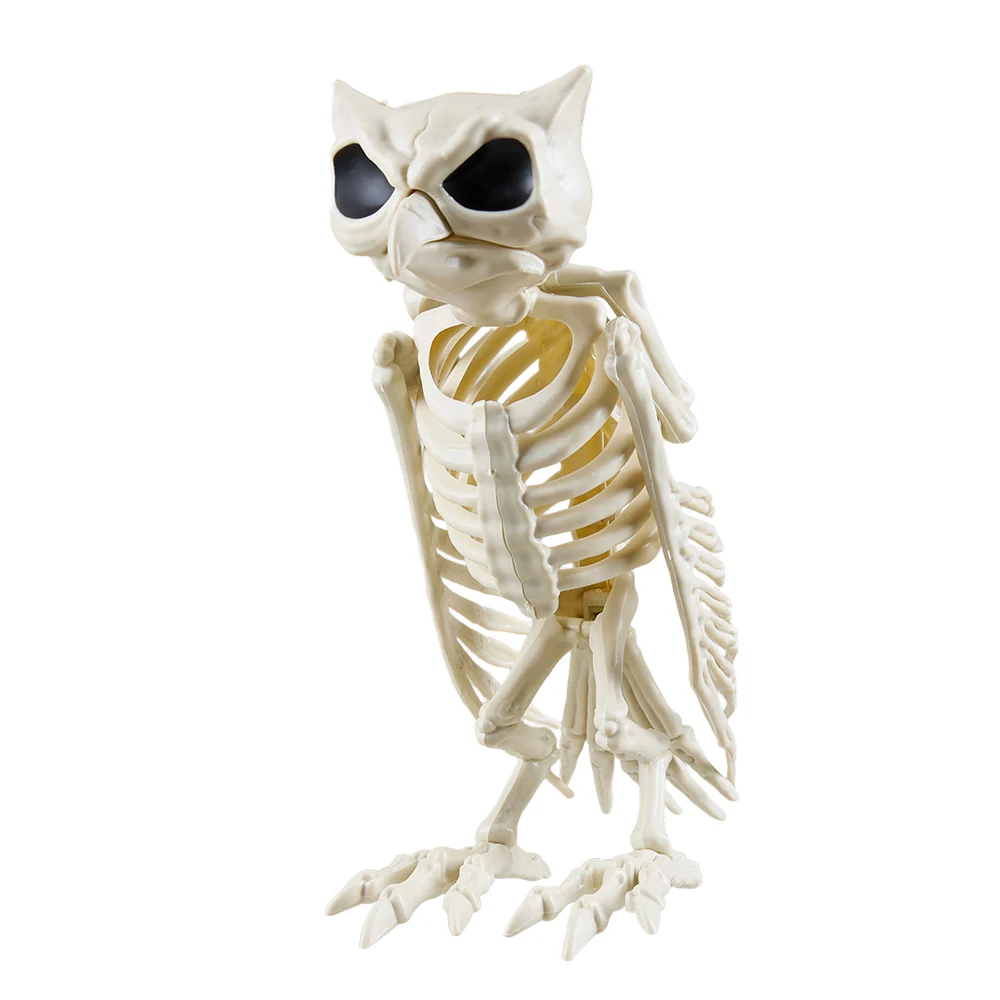 Halloween Owl Skeleton Prop