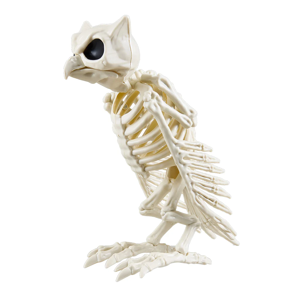 Halloween Owl Skeleton Prop - Image 2