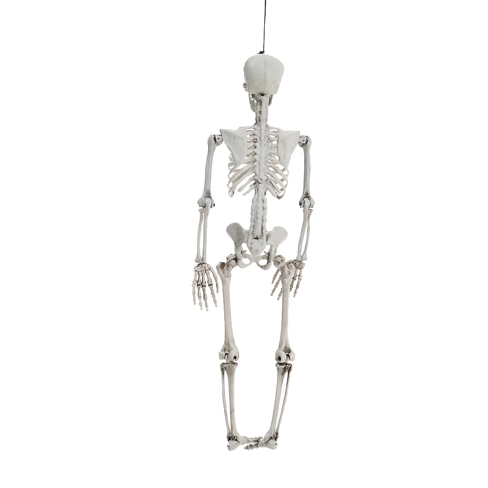 Halloween Realistic Full Body Skeleton Prop Decoration Posable Joints - Image 11