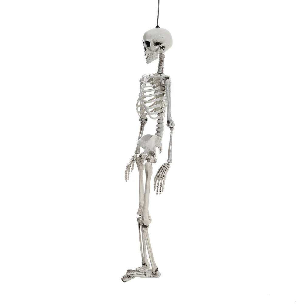 Halloween Realistic Full Body Skeleton Prop Decoration Posable Joints - Image 12