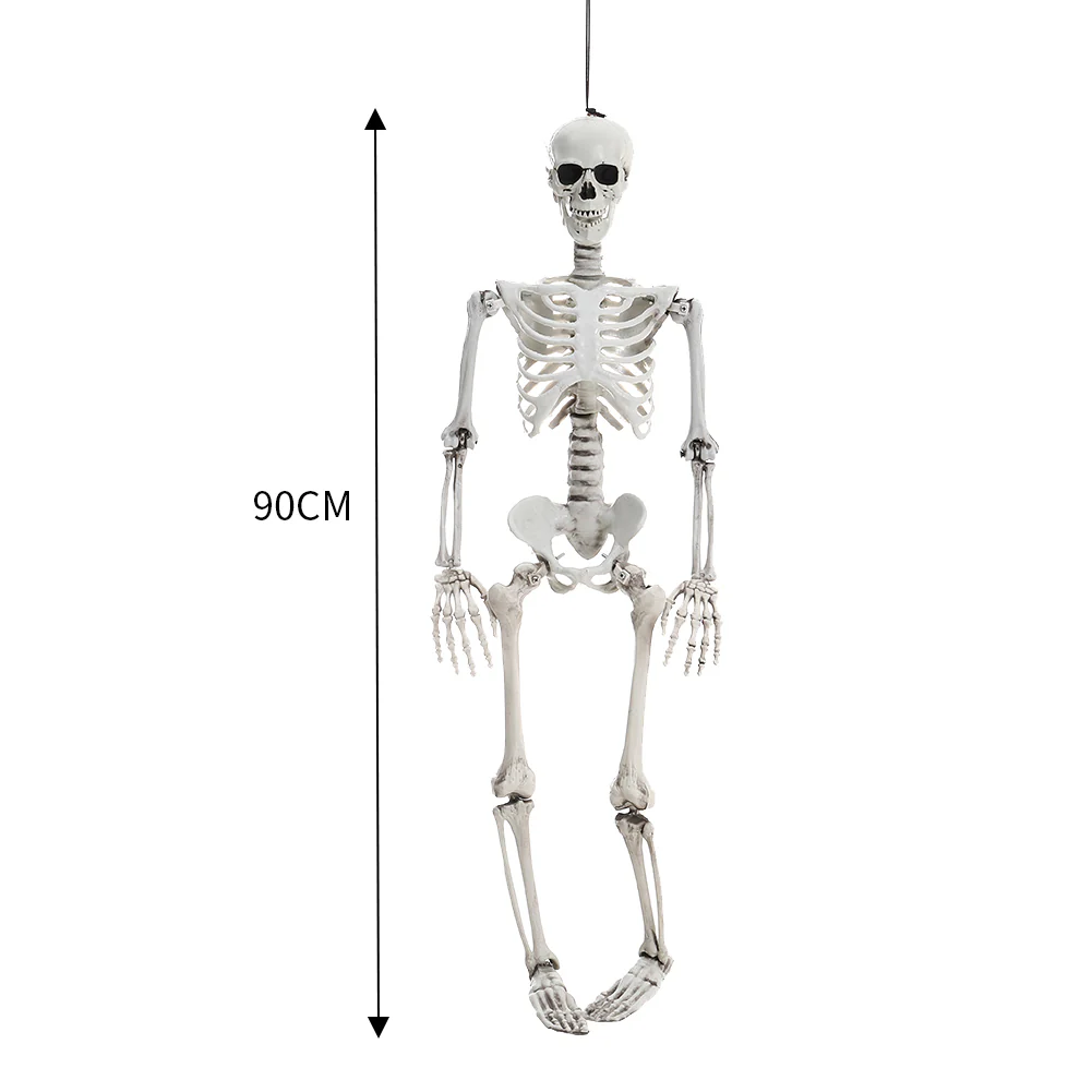 Halloween Realistic Full Body Skeleton Prop Decoration Posable Joints - Image 13