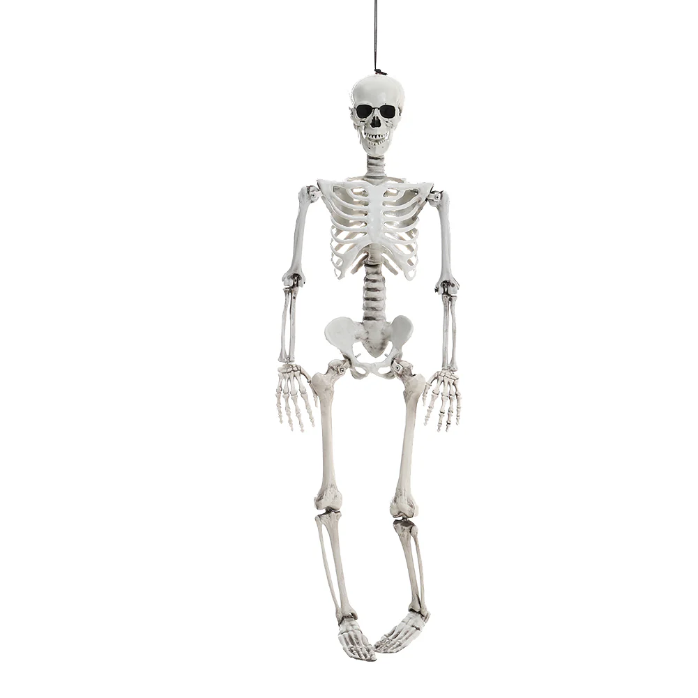 Halloween Realistic Full Body Skeleton Prop Decoration Posable Joints - Image 14