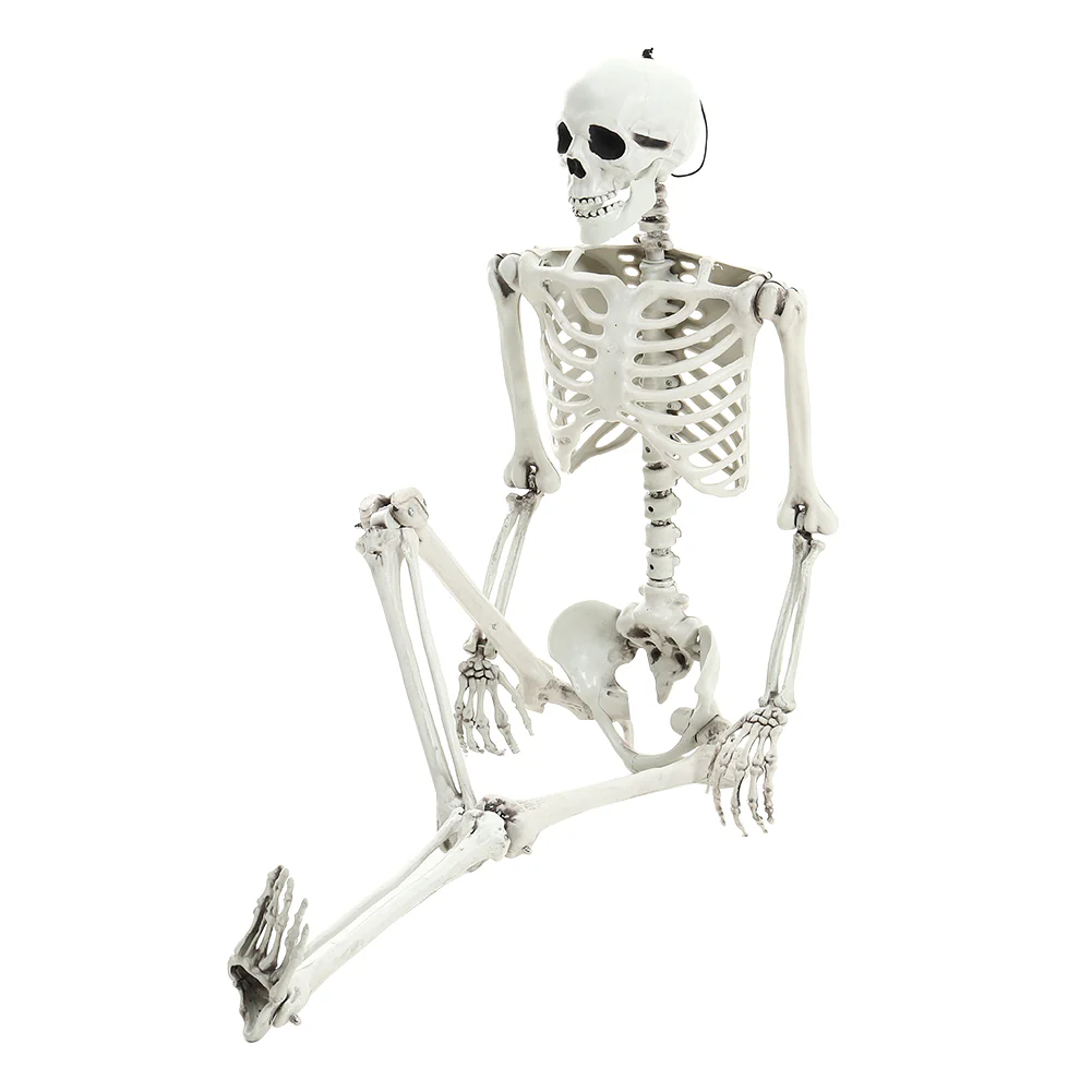 Halloween Realistic Full Body Skeleton Prop Decoration Posable Joints - Image 4