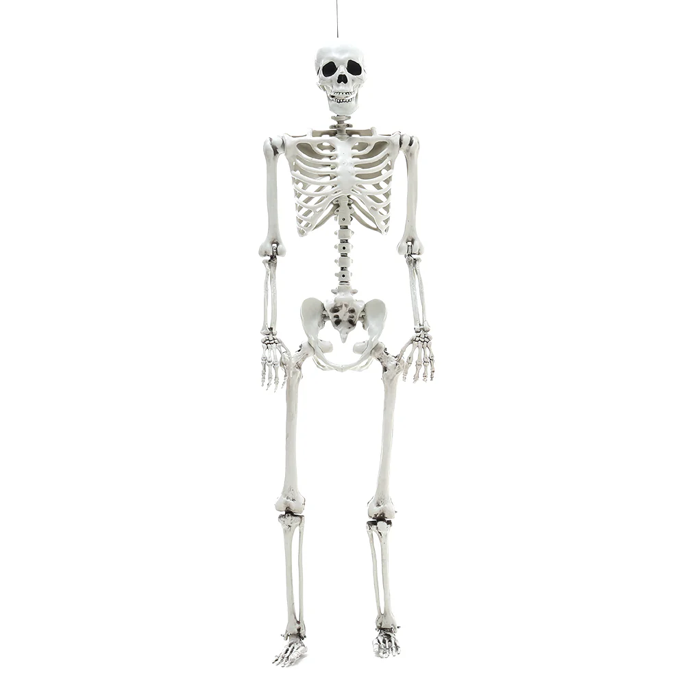 Halloween Realistic Full Body Skeleton Prop Decoration Posable Joints - Image 6