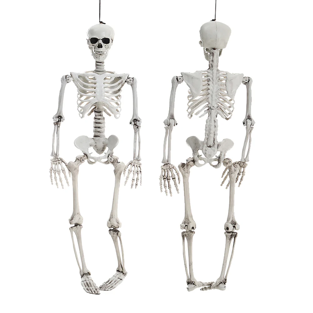 Halloween Realistic Full Body Skeleton Prop Decoration Posable Joints - Image 8