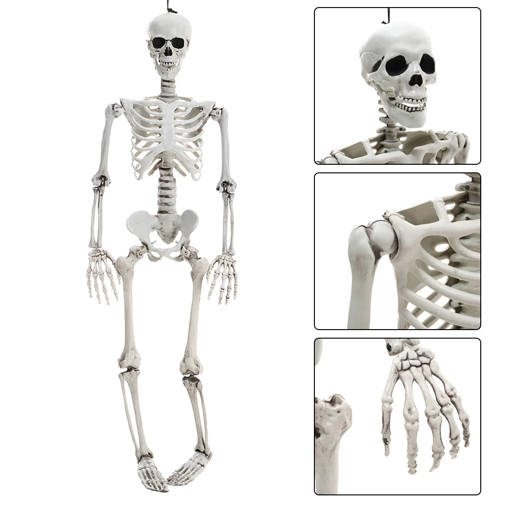 Halloween Realistic Full Body Skeleton Prop Decoration Posable Joints - Image 9