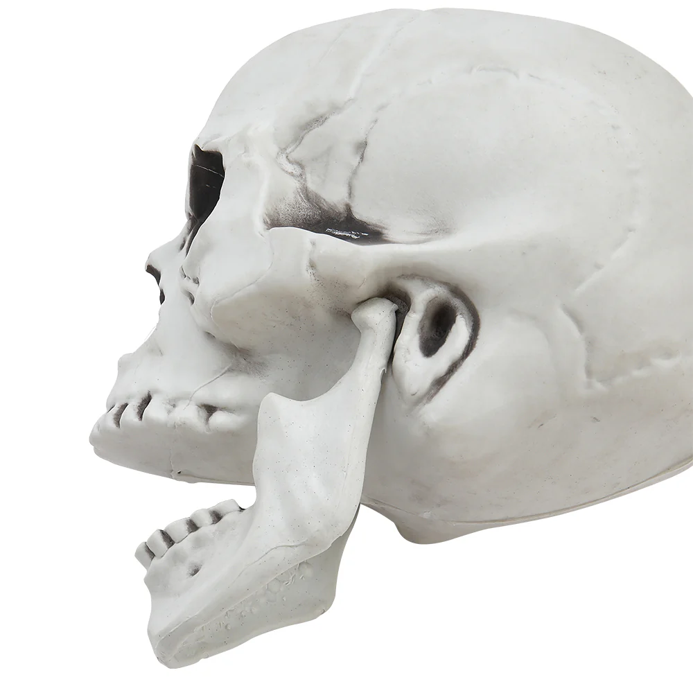Halloween Realistic Plastic Skull Tabletop Decoration - Image 4