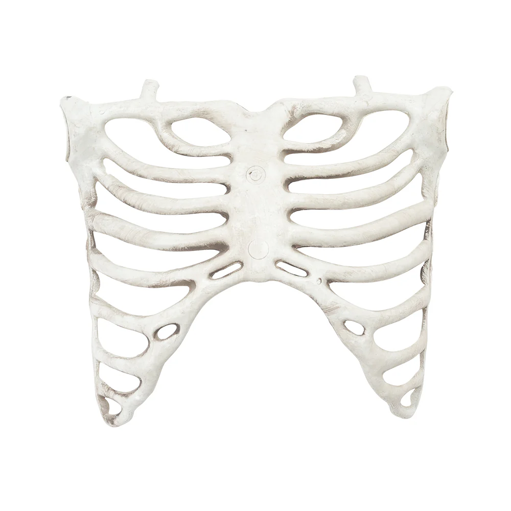 Halloween Realistic Skull and Bone Skeleton Decoration Kit - Image 5