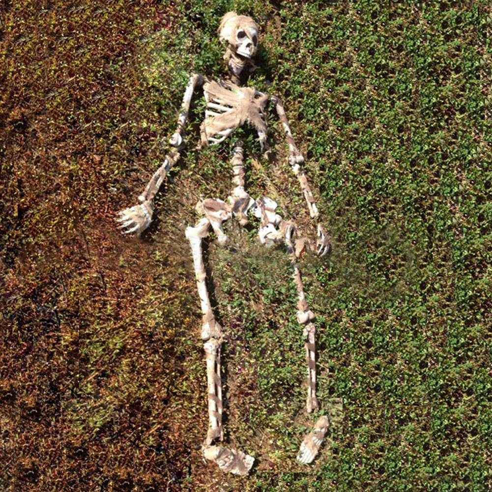 Halloween Realistic Skull and Bone Skeleton Decoration Kit