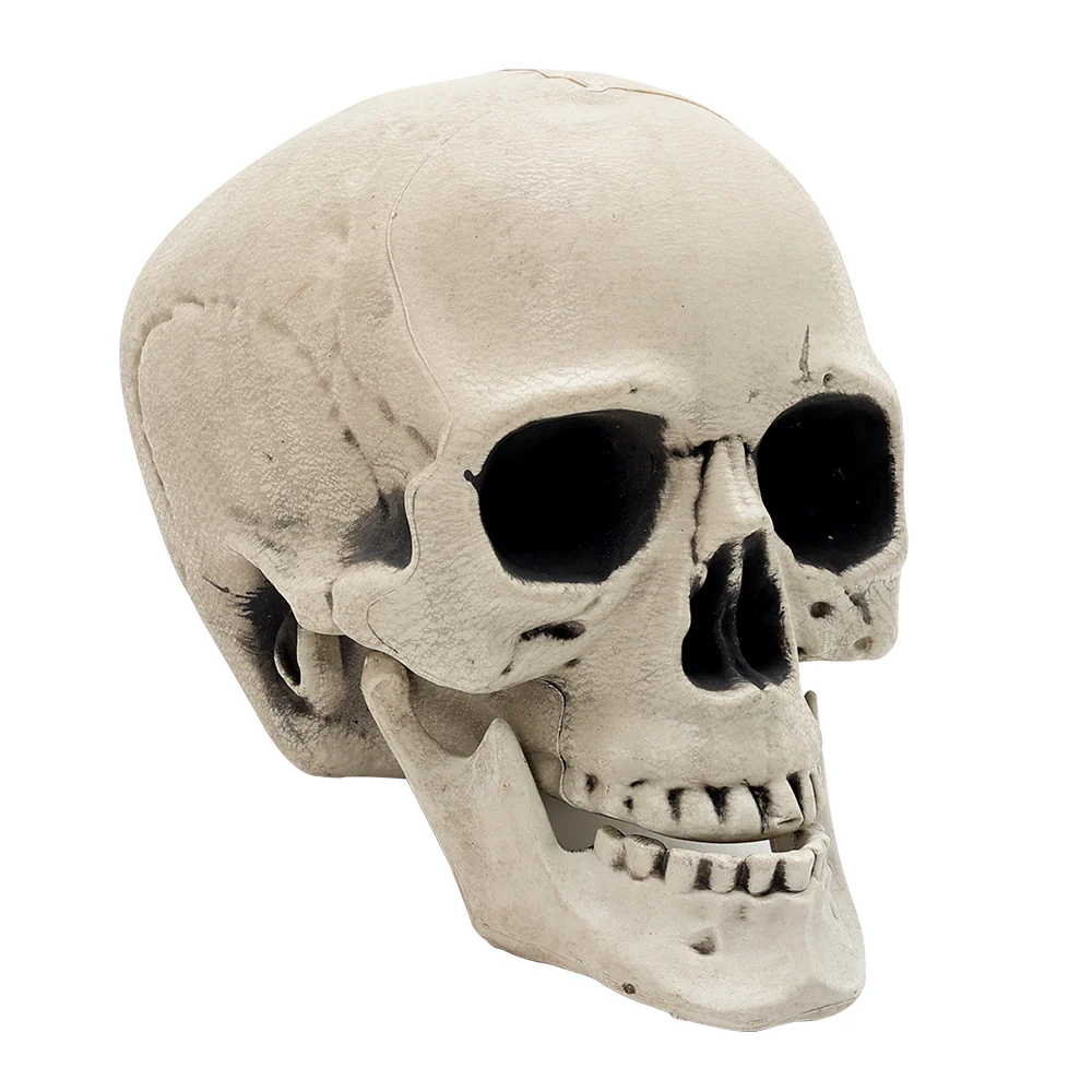 Halloween Realistic Skull and Bone Skeleton Decoration Kit - Image 5