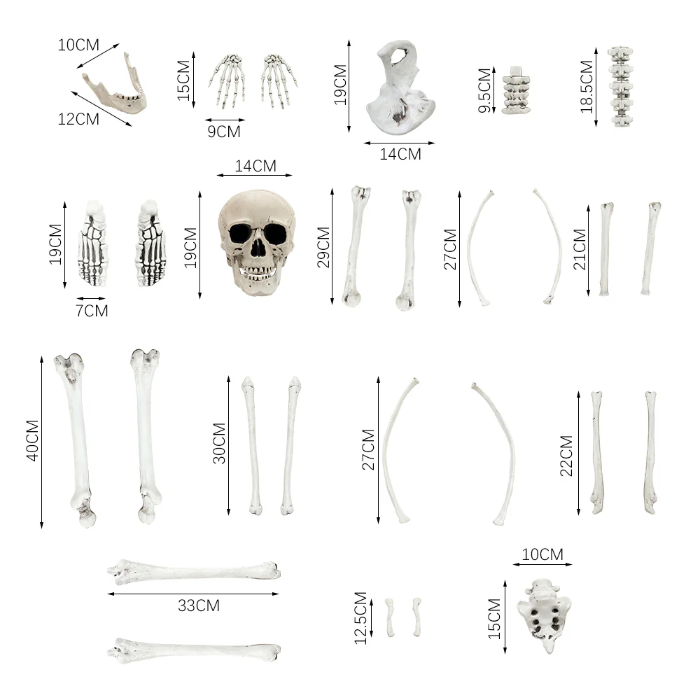Halloween Realistic Skull and Bone Skeleton Decoration Kit - Image 8