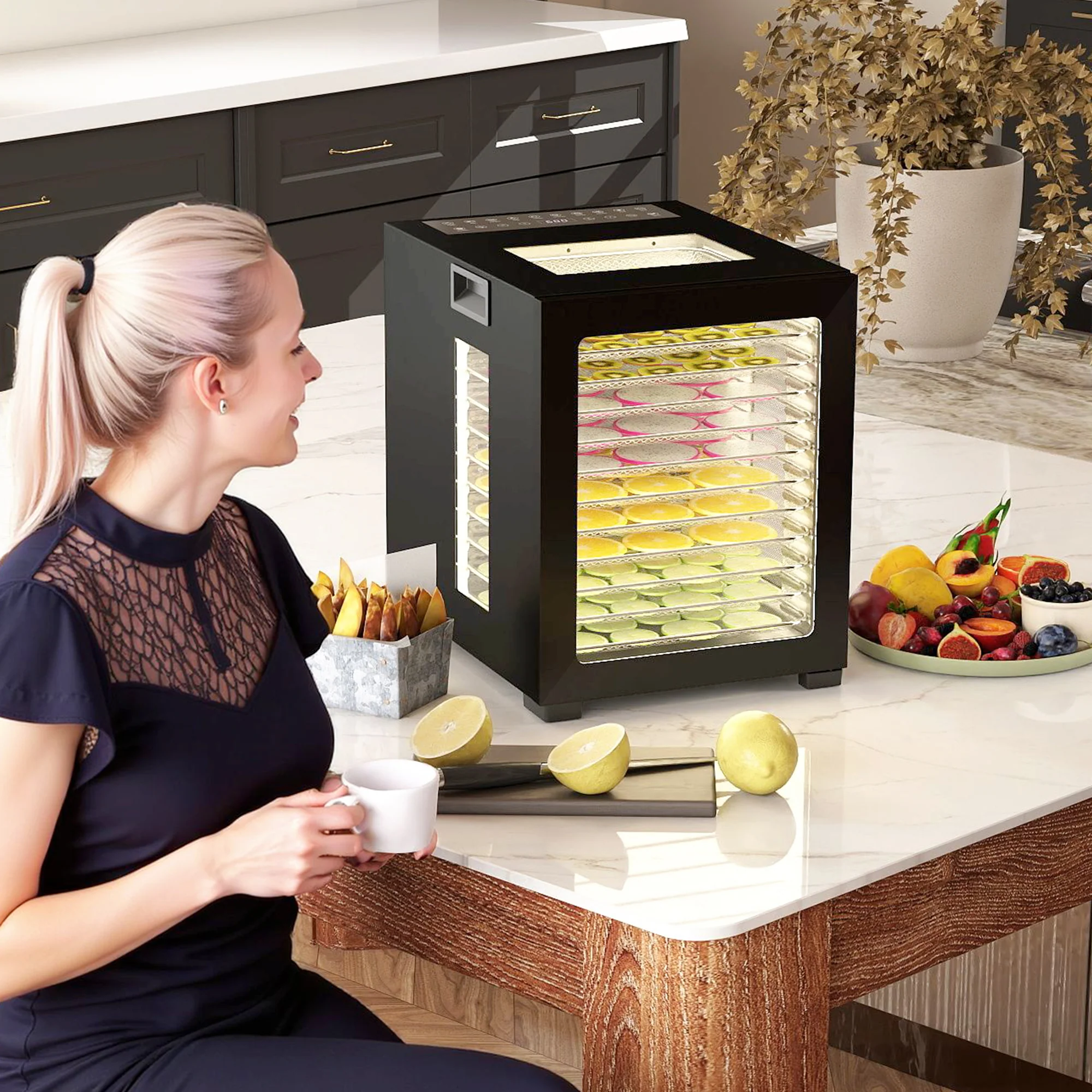 HOMCOM Food Dehydrator With 12 Stainless Steel Tray, 850W Food Dryer Machine - Image 2