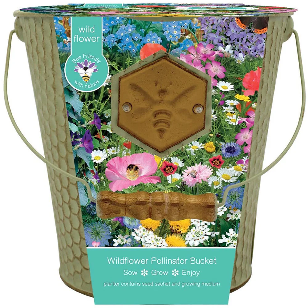 Honeycomb Bucket With Wildflower Seeds