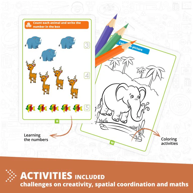 Learning About Wild Animals - Image 4