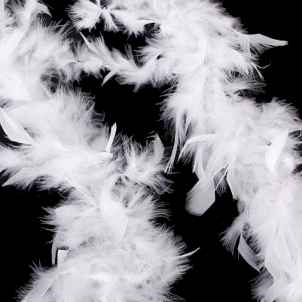 Lifeideas 2m White Feather Boa for Parties and Decorations - Image 4