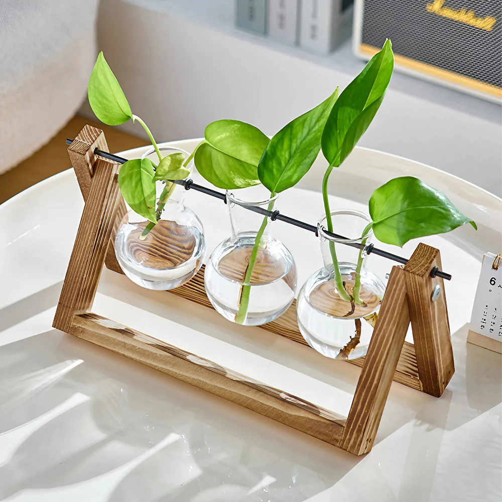 Lifeideas Modern 3pcs Bulb Glass Terrariums with Wood Stand Set - Image 2