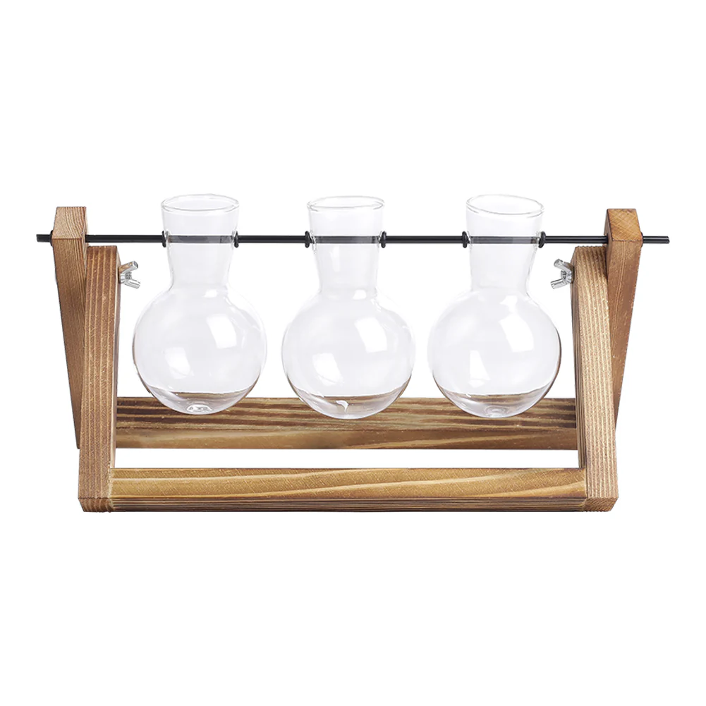 Lifeideas Modern 3pcs Bulb Glass Terrariums with Wood Stand Set - Image 6