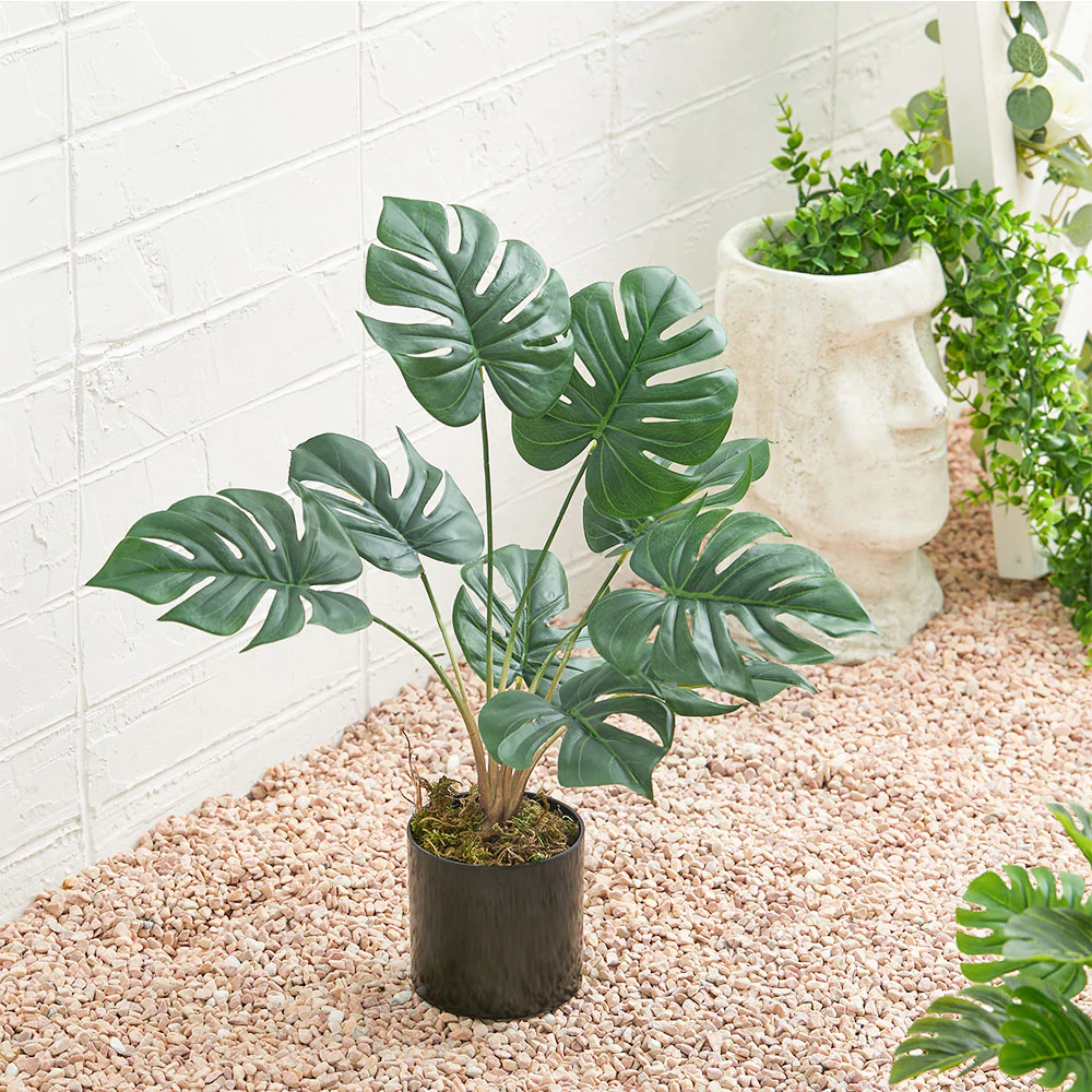 Lifeideas Realistic Turtle Shell Leaf Indoor Decoration - Image 2