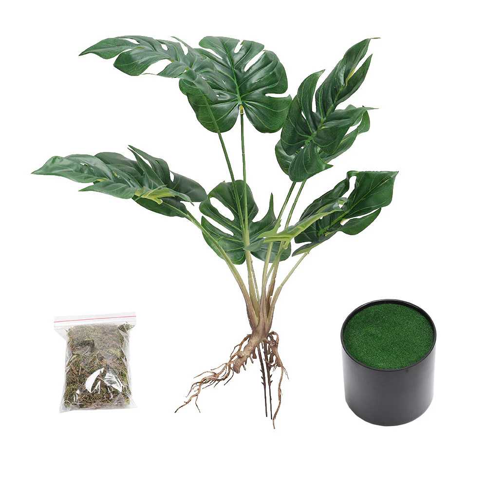 Lifeideas Realistic Turtle Shell Leaf Indoor Decoration - Image 3