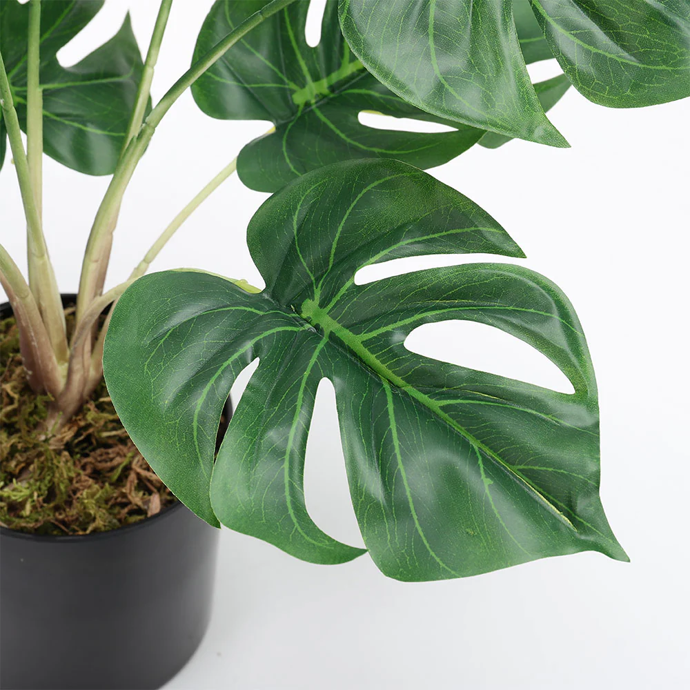 Lifeideas Realistic Turtle Shell Leaf Indoor Decoration - Image 4