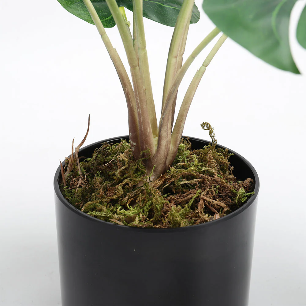 Lifeideas Realistic Turtle Shell Leaf Indoor Decoration - Image 5