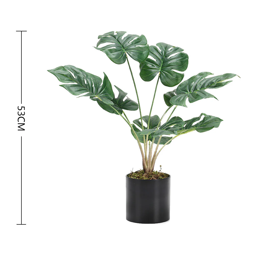 Lifeideas Realistic Turtle Shell Leaf Indoor Decoration - Image 7