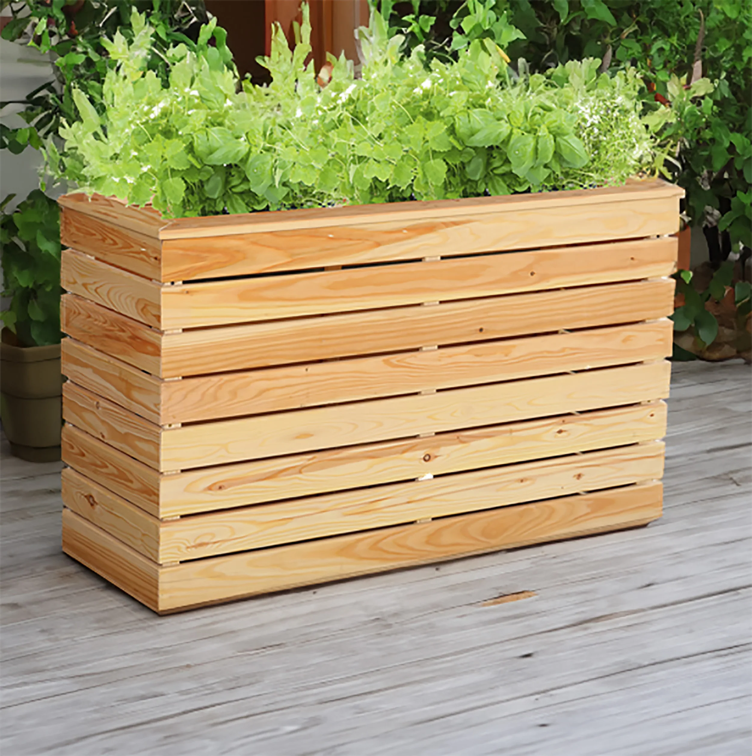 Marta Larch Planter
