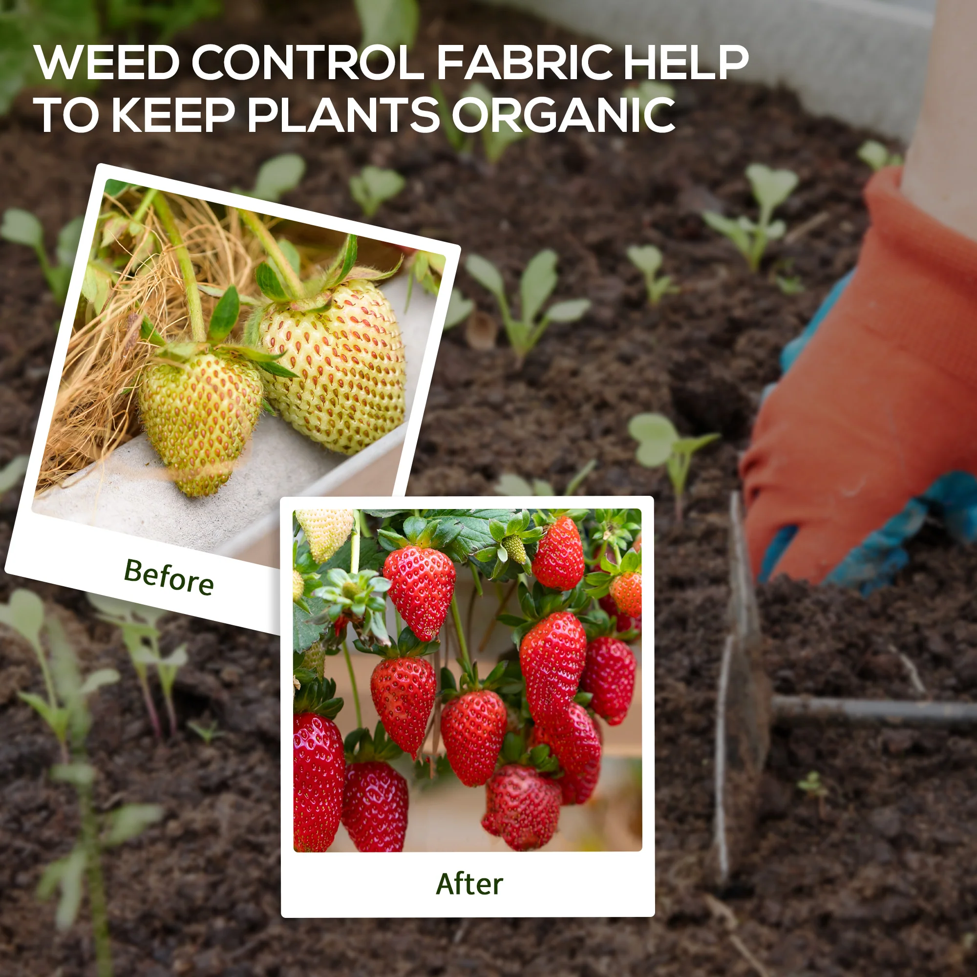 Outsunny 2 X 100m Weed Membrane, Heavy Duty Weed Control Membrane - Image 6