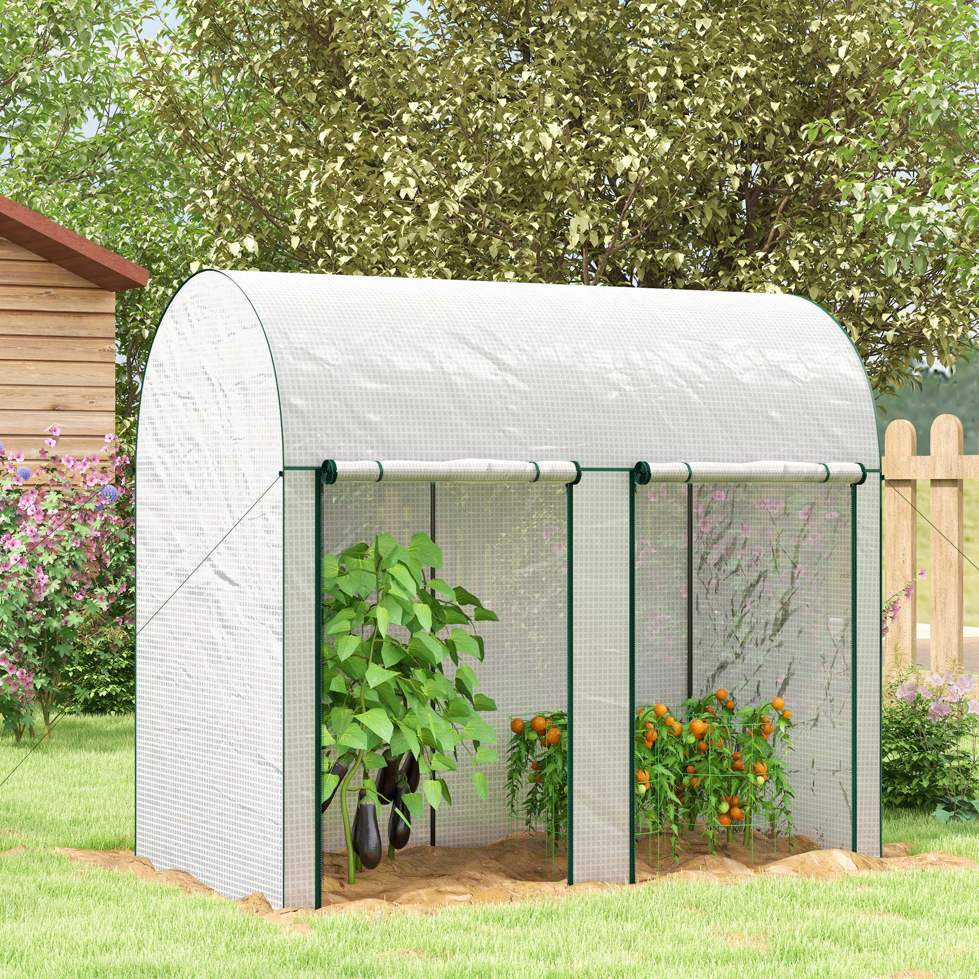 Outsunny 200 x 100 x 178cm Small Tomato Greenhouse with Roll-up Zipped Doors - Image 2
