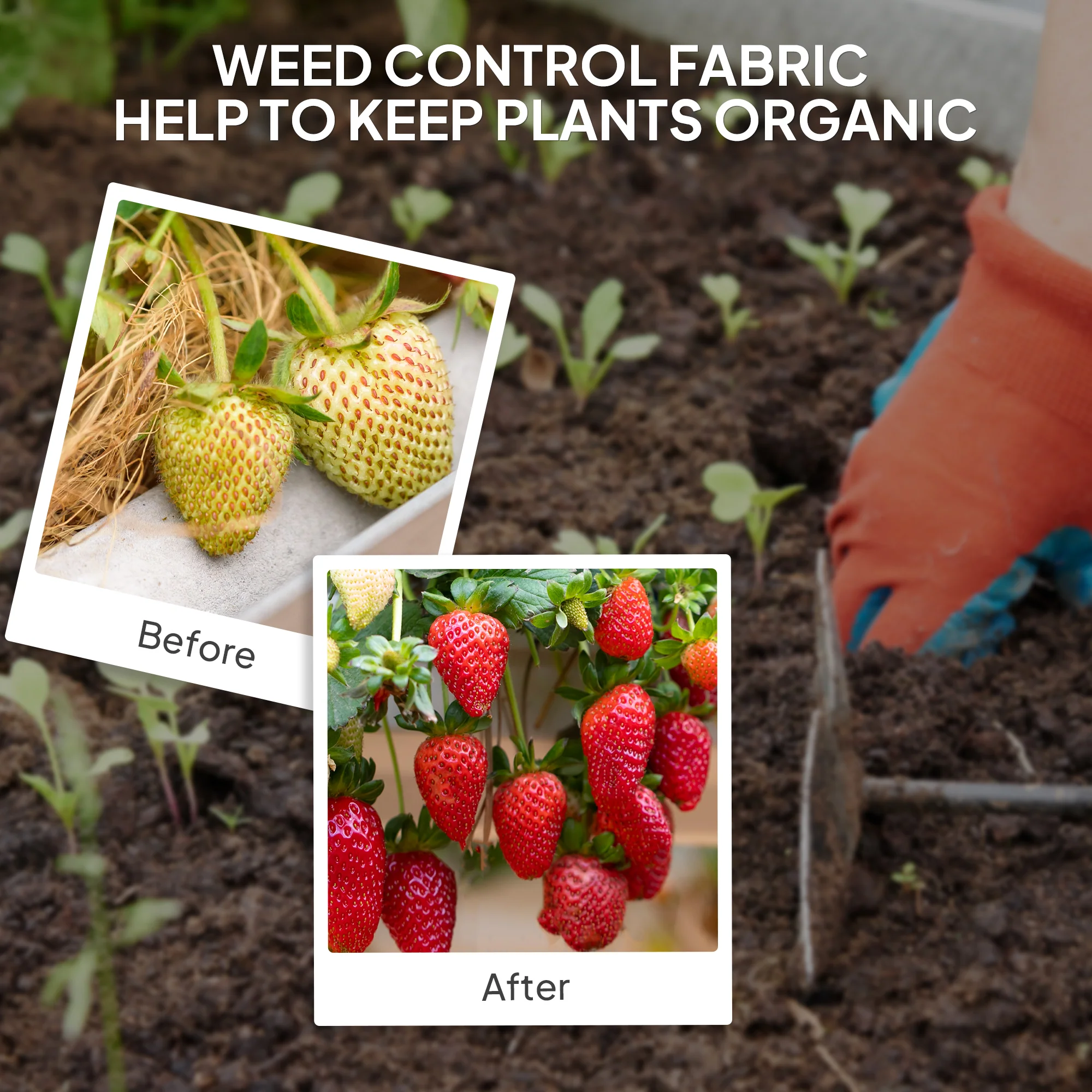 Outsunny 2m x 90m Weed Control Membrane, Heavy Duty Weed Barrier Fabric - Image 6