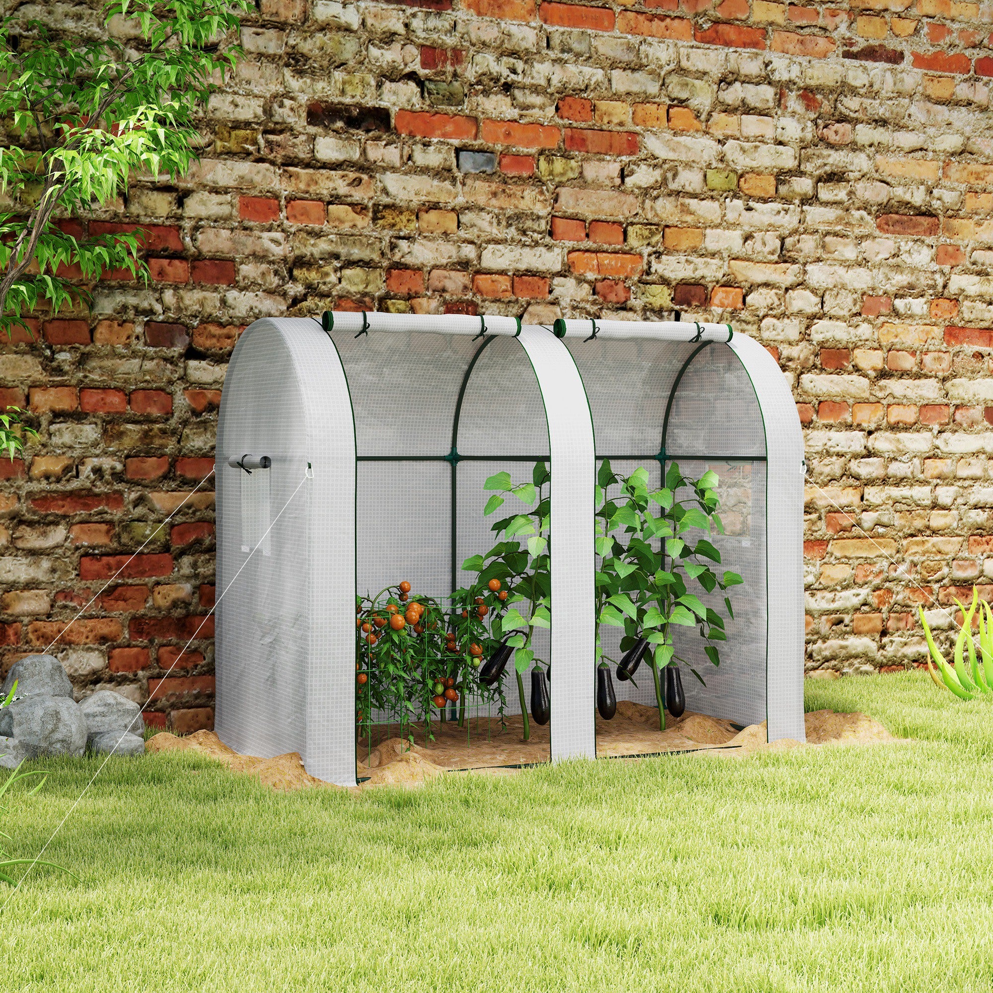 Outsunny Tomato Greenhouse with 2 Roll-up Doors, 185 x 94 x 150cm, White - Image 2