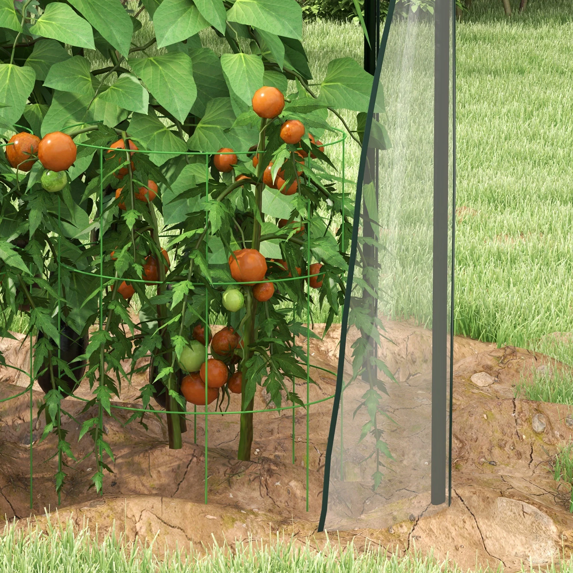 Outsunny Tomato Greenhouse with 2 Zipped Doors, Outdoor Green House, Clear - Image 9