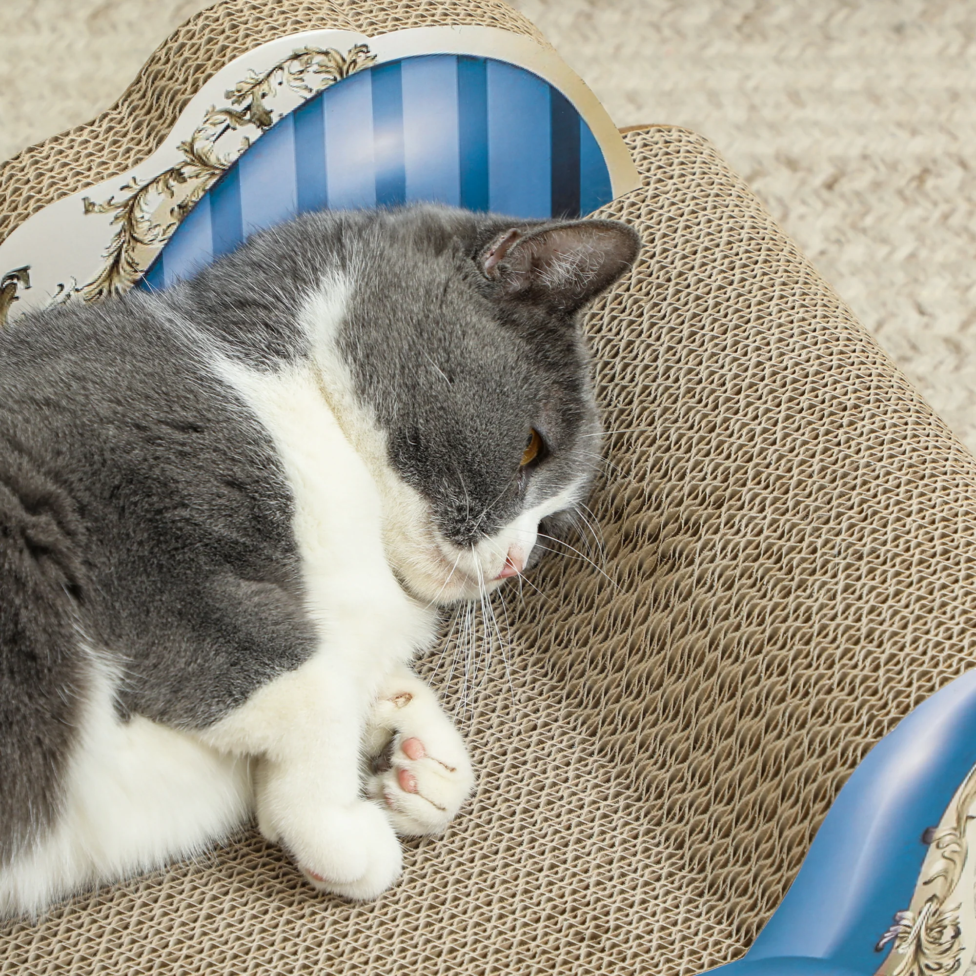 PawHut 2 In1 Cat Scratcher With Catnip, Cardboard Lounge Bed, Blue - Image 9