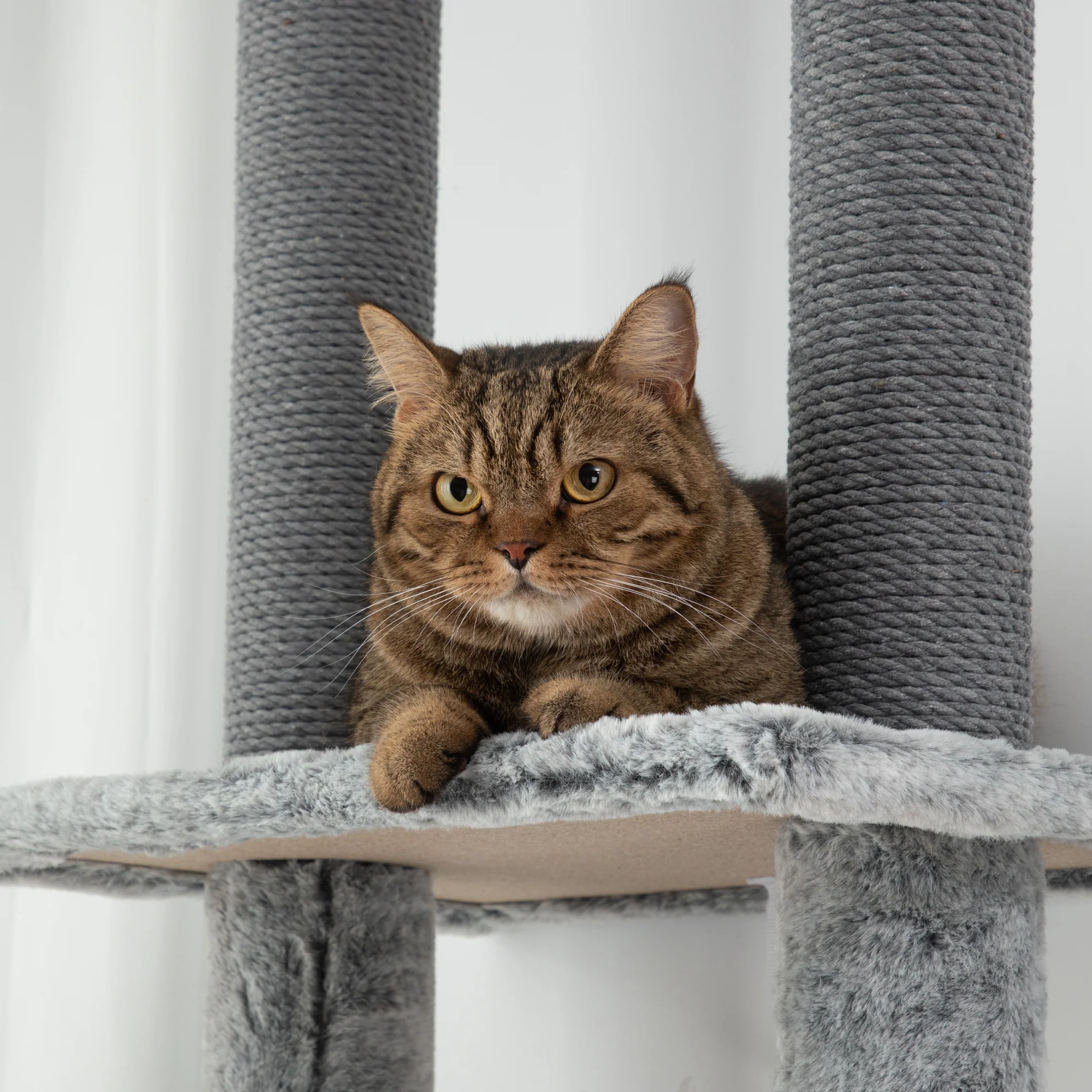 PawHut 225-255cmH Floor-to-Ceiling Cat Tree for Indoor Cats w/ Condo Ramp - Image 9