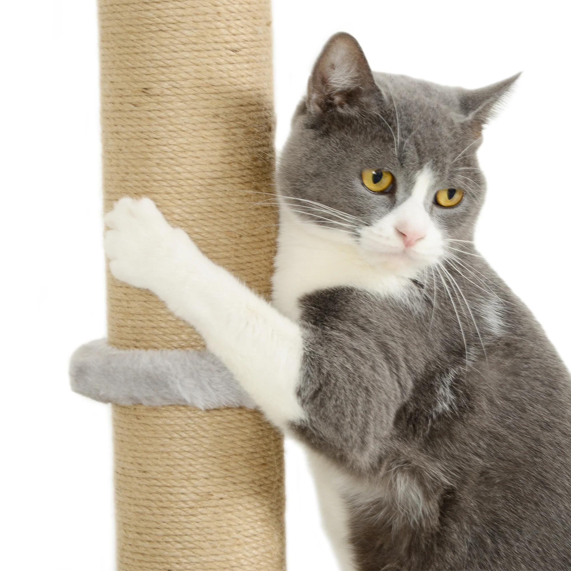 PawHut 4 Piece Cat Shelves w/ Scratching Post, Steps, Jumping Platform - Image 9