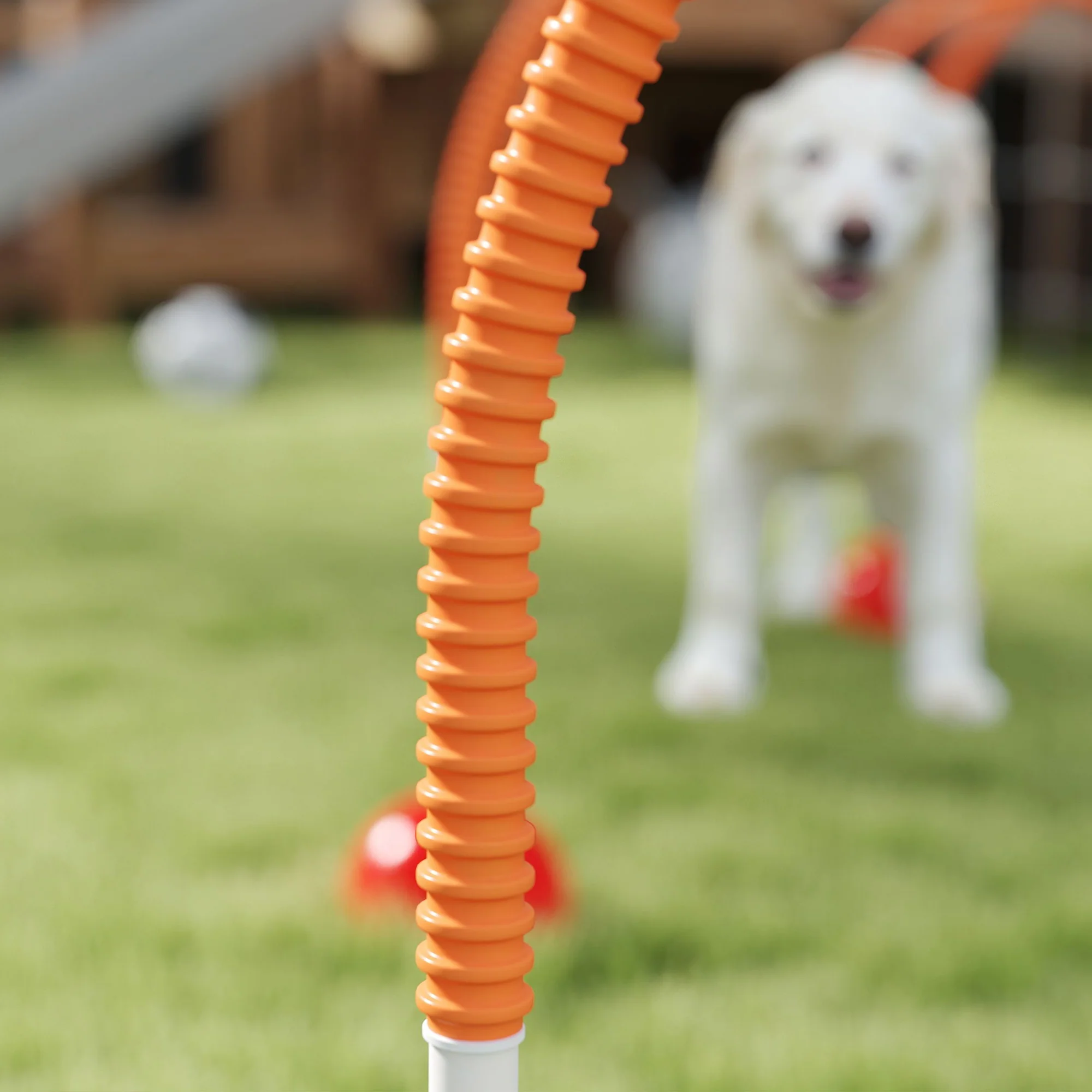PawHut 4 Piece Dog Agility Training Equipment with Carry Bag, Orange - Image 8