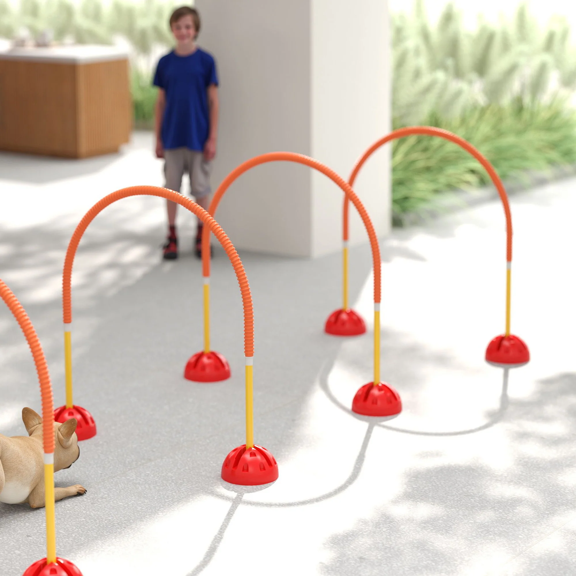 PawHut 4 Piece Dog Agility Training Equipment with Carry Bag, Orange - Image 9