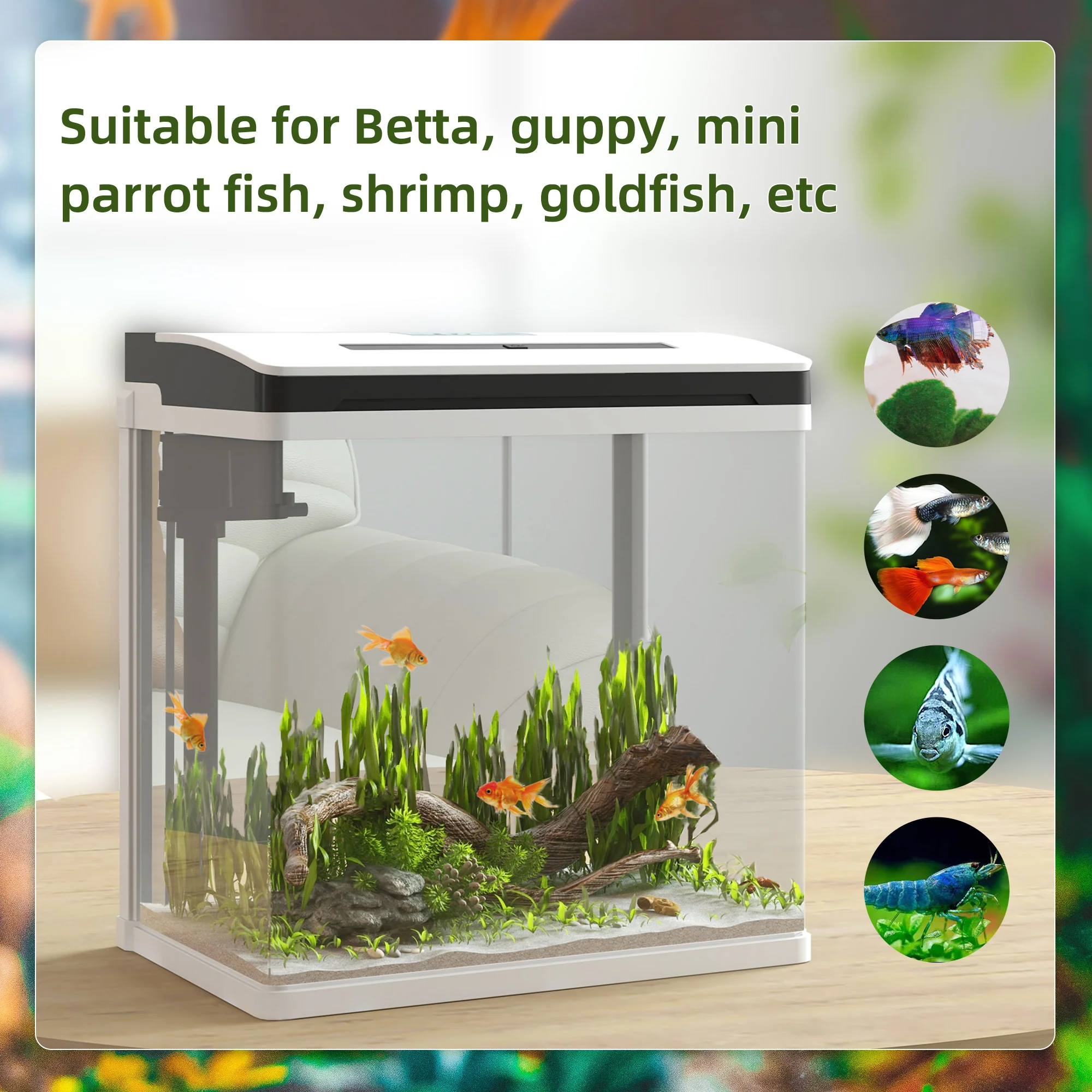 PawHut Aquarium 13L Glass Fish Tank w/ Filter, LED Lighting, Water Pump - Image 3