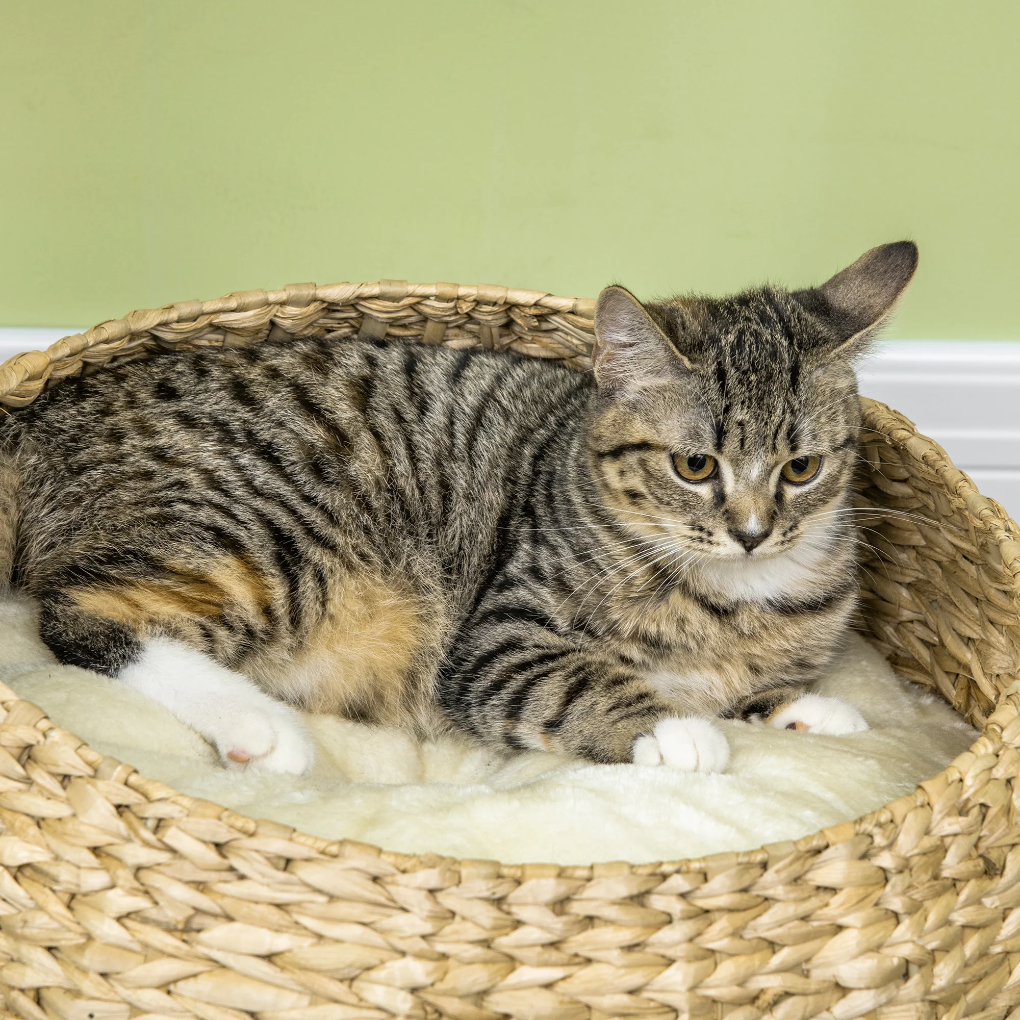 PawHut Cat Barrel Kitten Tree Tower Sisal Scratching Furniture Climbing Frame - Image 9