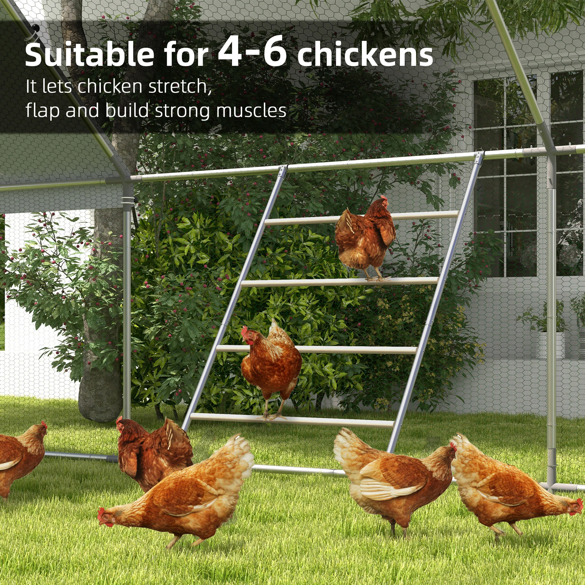 PawHut Chicken Perch for Coop, Jungle Gym Roosting Bar for Backyard Farm - Image 6