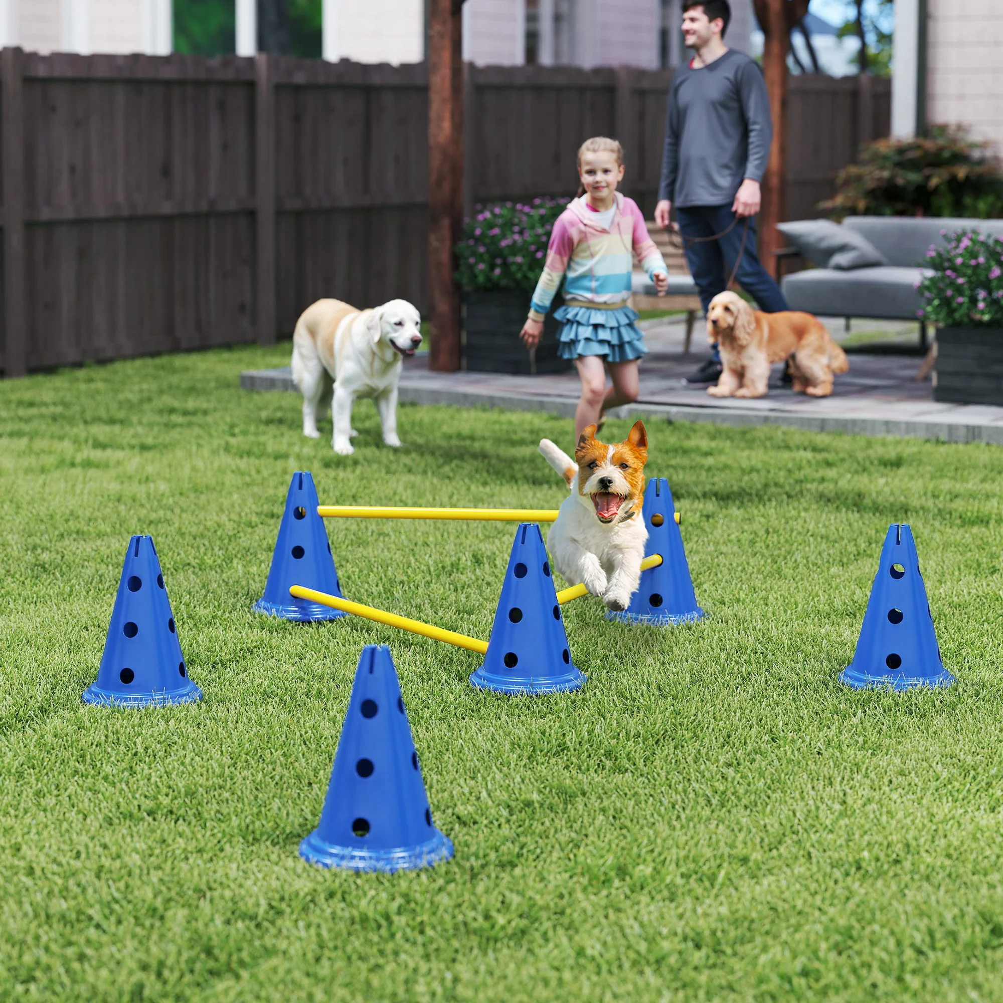 PawHut Dog Agility Equipment Set, Three-Piece Adjustable Height Jumping - Image 2