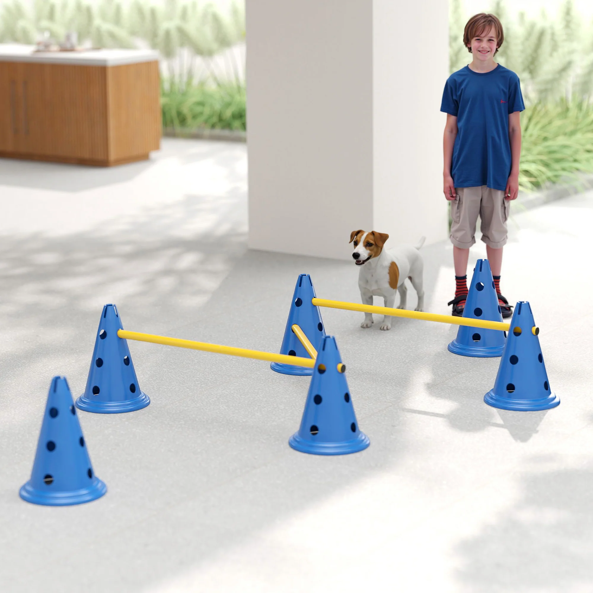 PawHut Dog Agility Equipment Set, Three-Piece Adjustable Height Jumping - Image 9