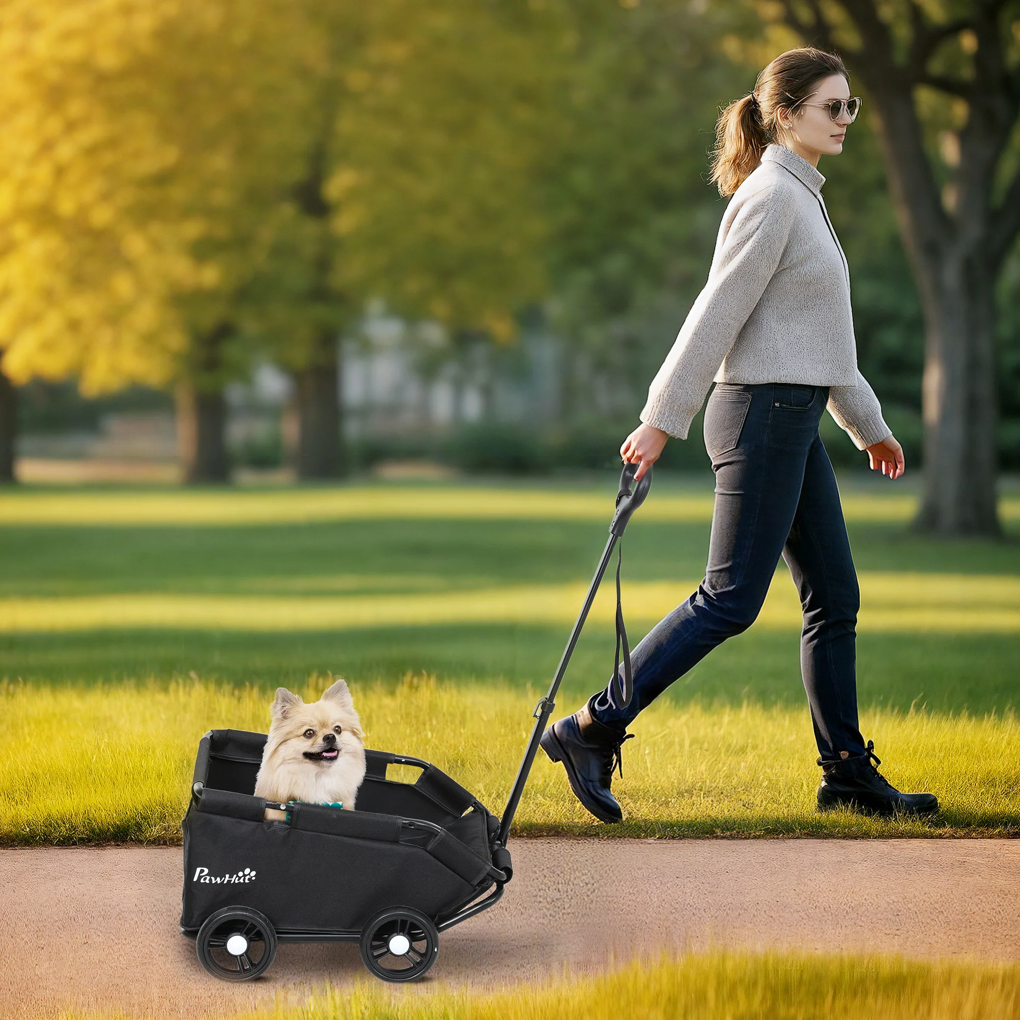PawHut Foldable Dog Stroller With Safety Straps, Storage Bag, Black - Image 2