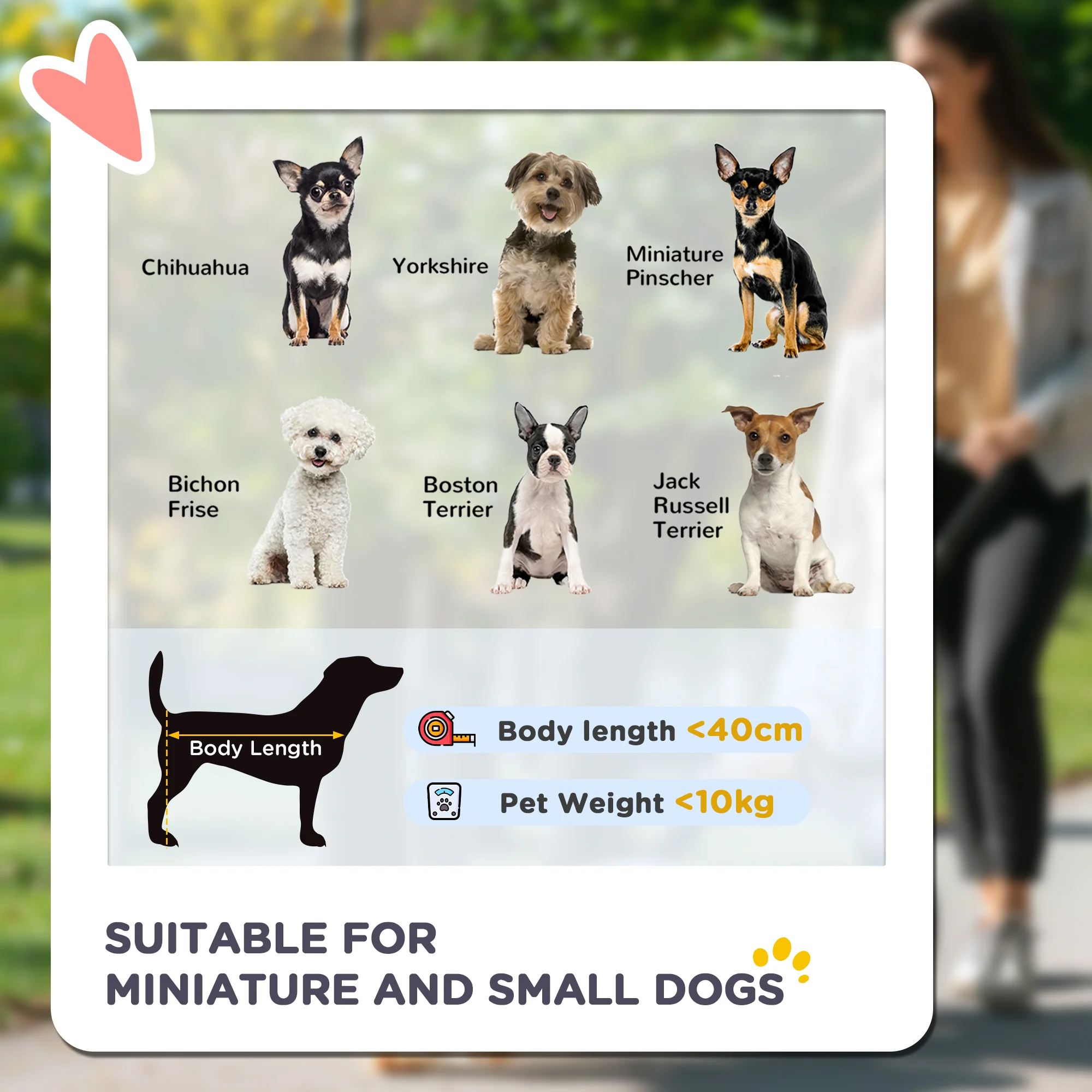PawHut Foldable Pet Stroller W/ Detachable Carrier, Soft Padding - Image 3