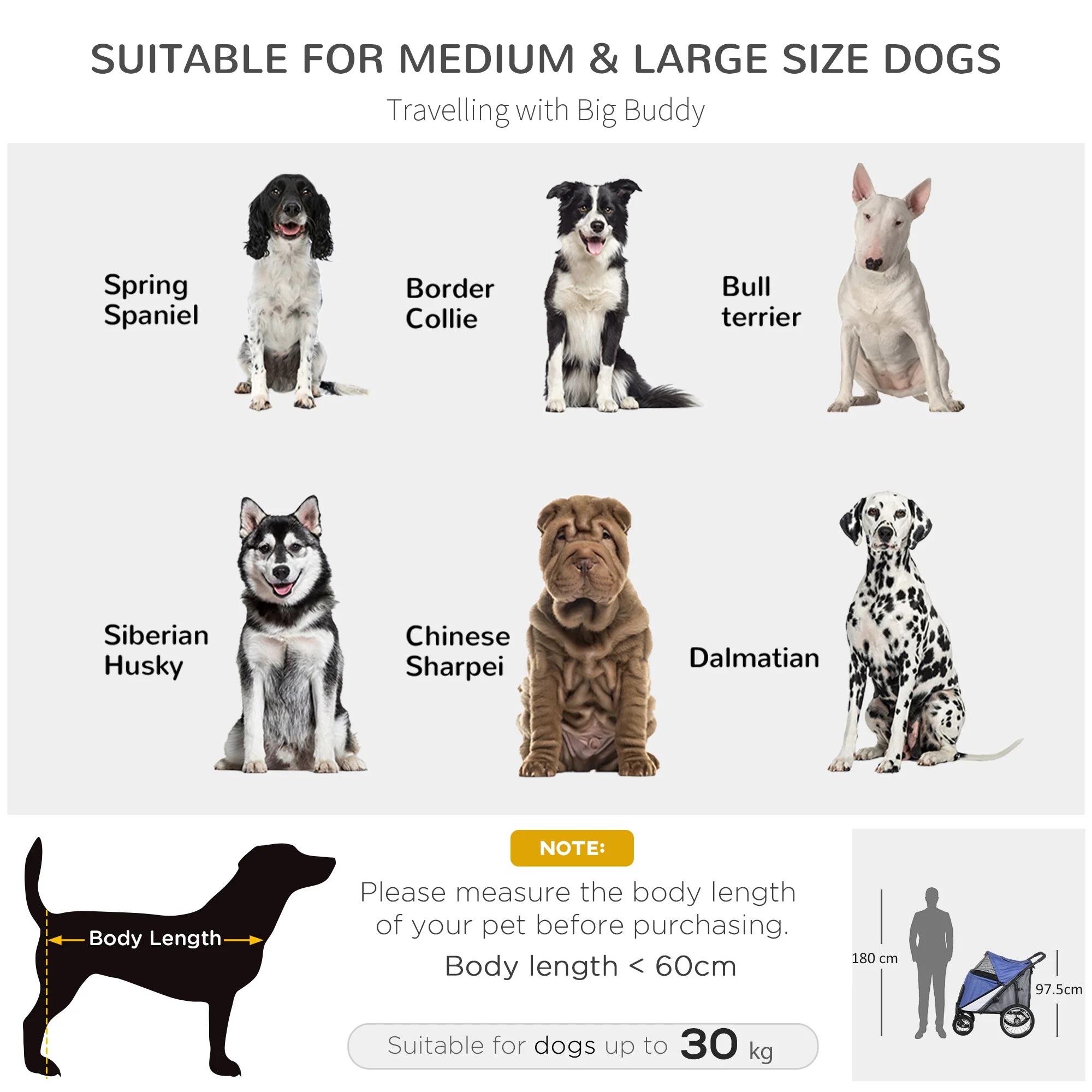 PawHut Foldable Pet Stroller With Cushion, For M, L Dogs - Image 3