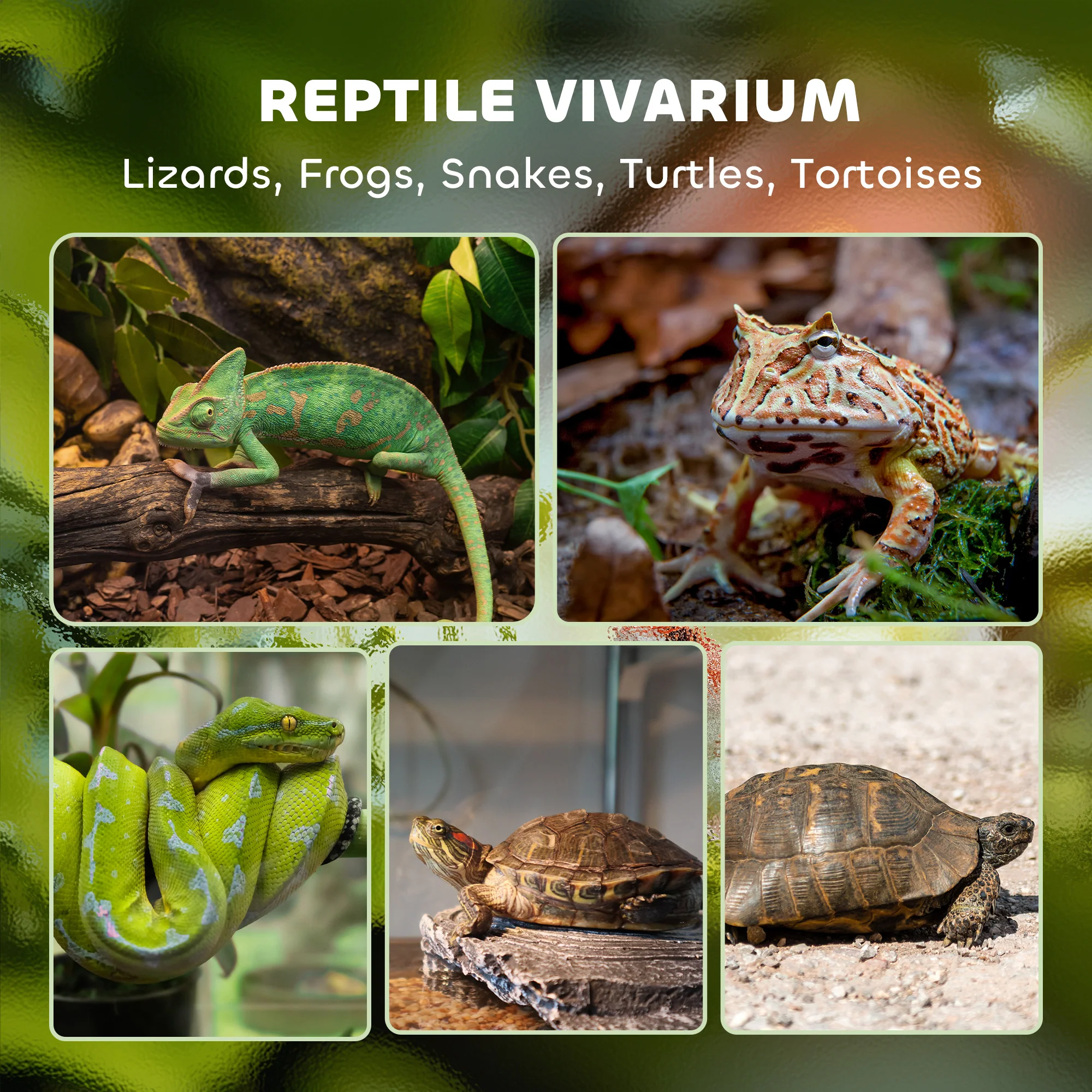 PawHut Glass Terrarium Reptile Vivarium With Stone Background - Image 3